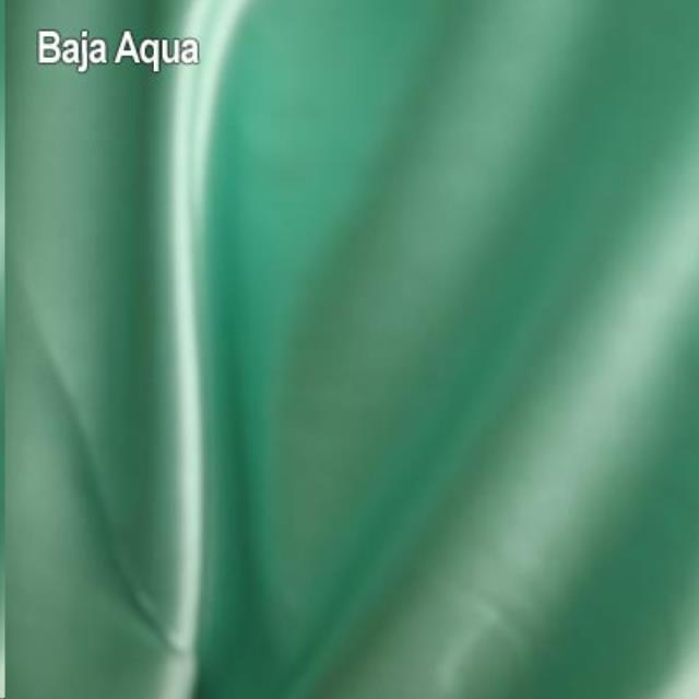 Rental store for Baja Aqua Tux Sat 90x156 in Wilmington NC